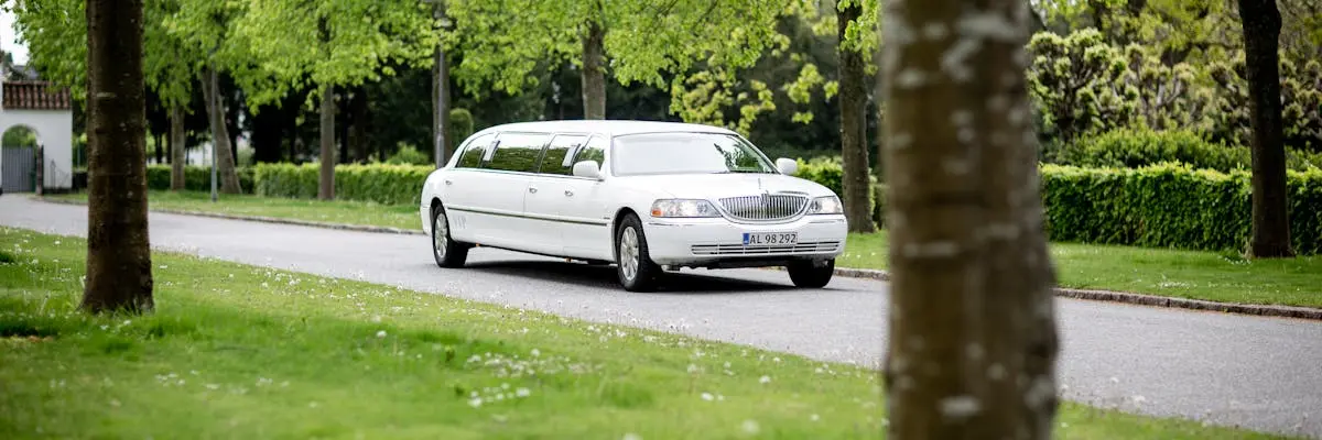 White stretch limousine driving on a tree-lined road